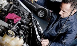 Aliquam erat volutpat